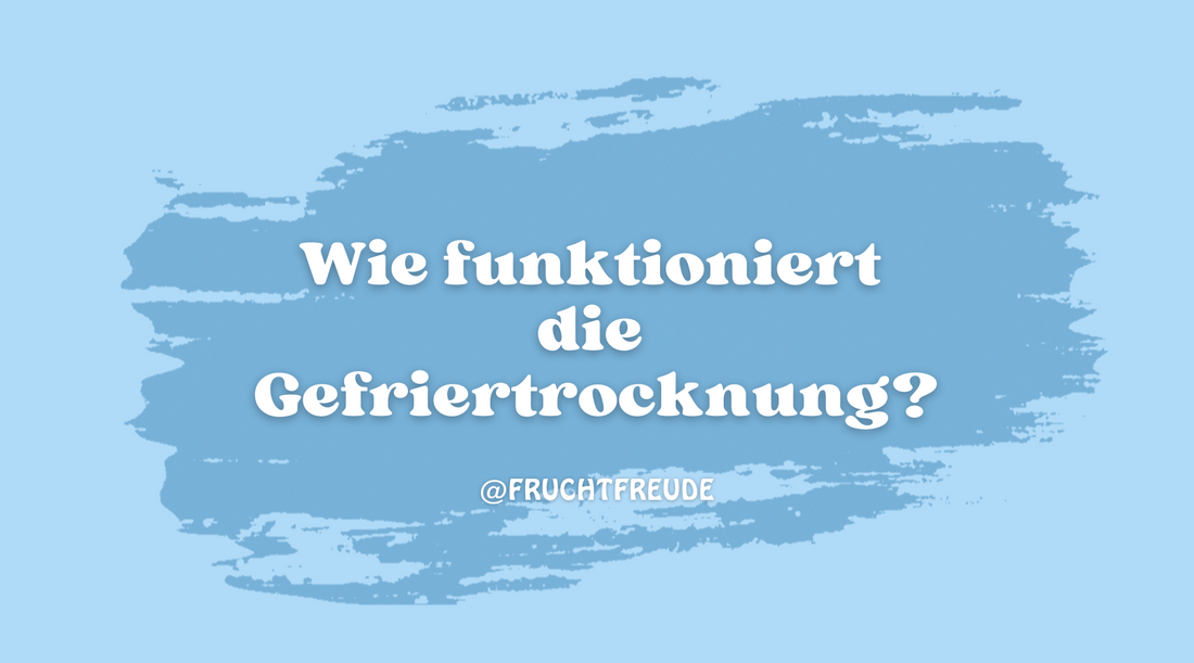 Wie funktioniert Gefriertrocknung