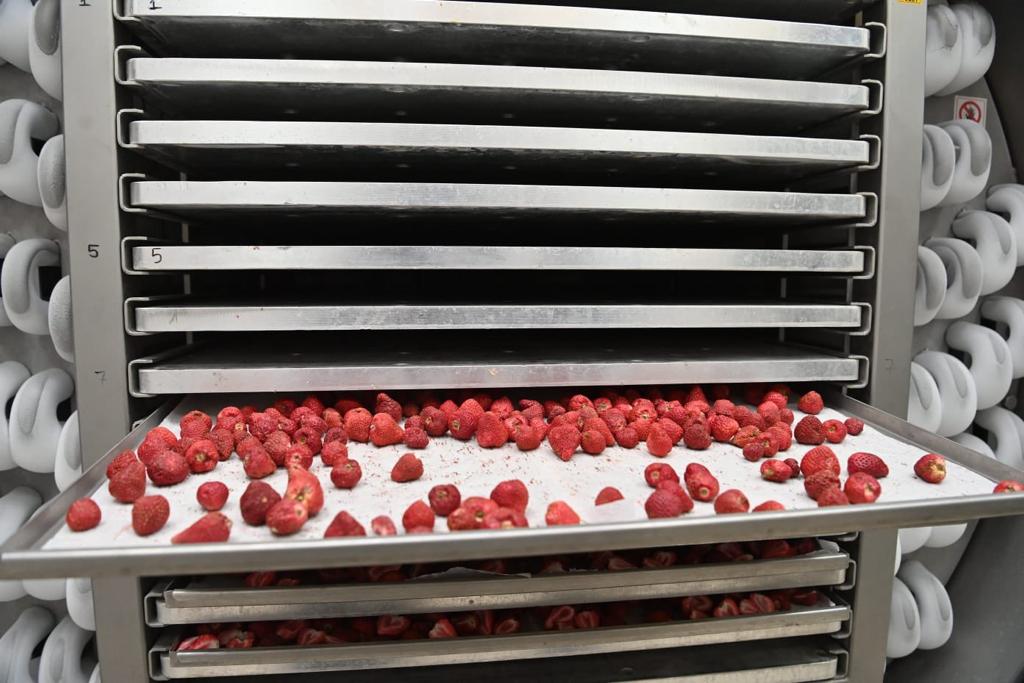 Freeze Dry Maschine mit Erdbeeren